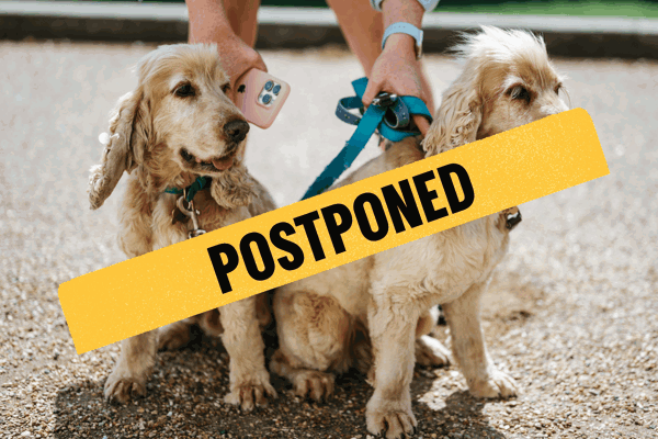 POSTPONED (1)