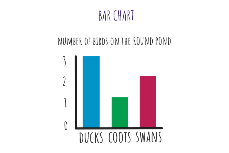 bar chart of birds on the round pond